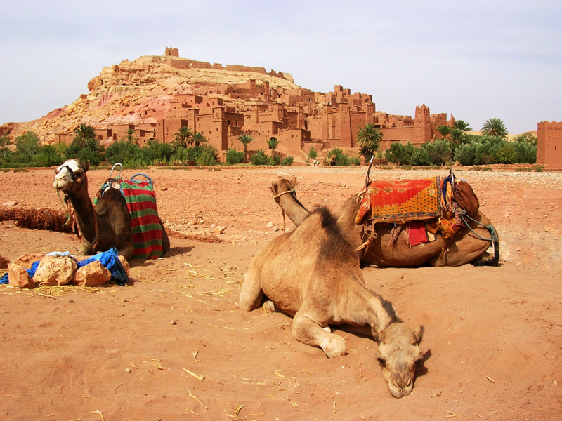 http://www.mogador-travel.com/wp-content/uploads/2018/11/excursion-ait-ben-haddou01.jpg