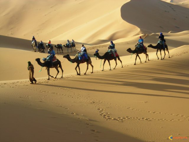 Camel-trek-in-Erg-Chebbi