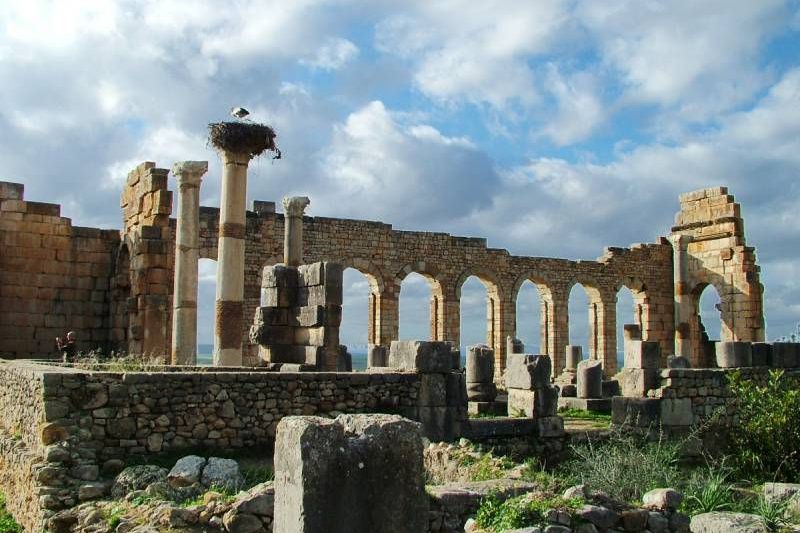 Full Day Trip To Roman Ruins Volubilis And Meknes From Fes