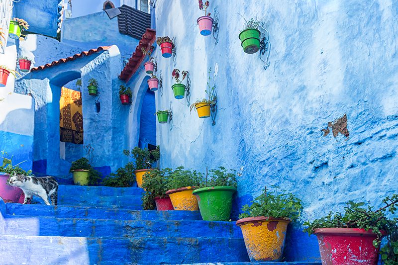 Full Day Trip To Chefchaouen The Pearl Of The North From Fes