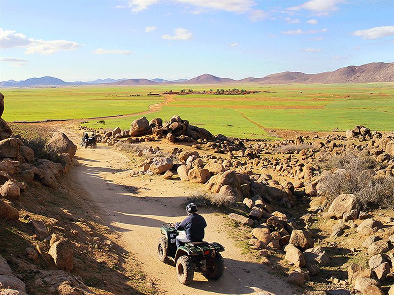 Full Day Quad Raid Adventure At Marrakech Palm Grove Or Agafay Desert