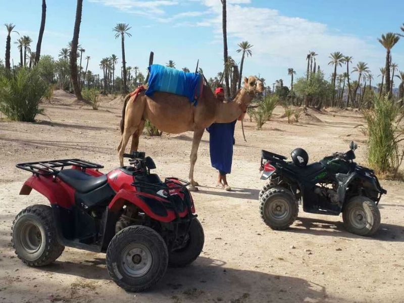 Full Day Combine Camel Ride And Quad Biking In Desert Of Marrakech